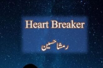 Heart Breaker Novel