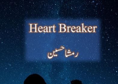 Heart Breaker Novel