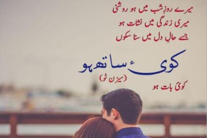 Koi Sath Ho Novel (Season 2)