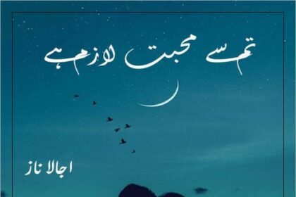 Tum Se Muhabbat Lazam Hai Novel