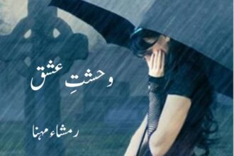 Wehshat e Ishq Novel
