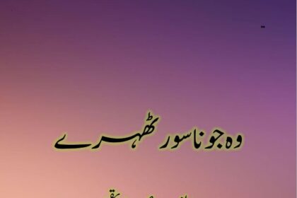 Wo Jo Nasoor Thehry Novel