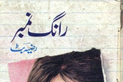 Wrong Number Novel