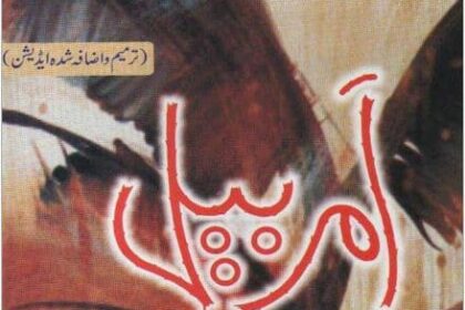 Amar Bail Novel