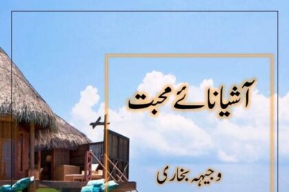 Ashnay Muhabbat Novel