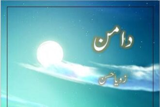 Daaman Novel