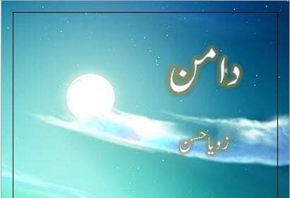 Daaman Novel