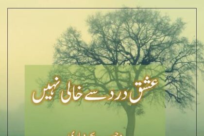 Ishq Dard Se Khali Nahi Novel