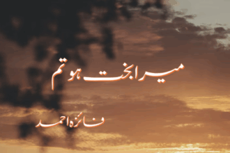 Mera Bakhat Ho Tum Novel