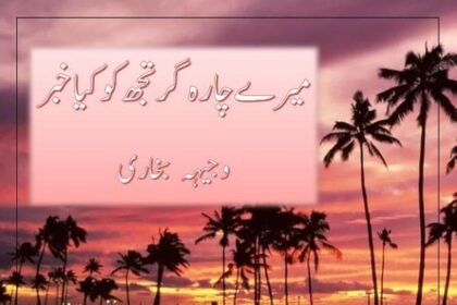 Mere Charagar Tujh Ko Kya Khabar Novel