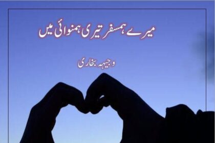 Mere Humsafar Teri Hamnvai Main Novel