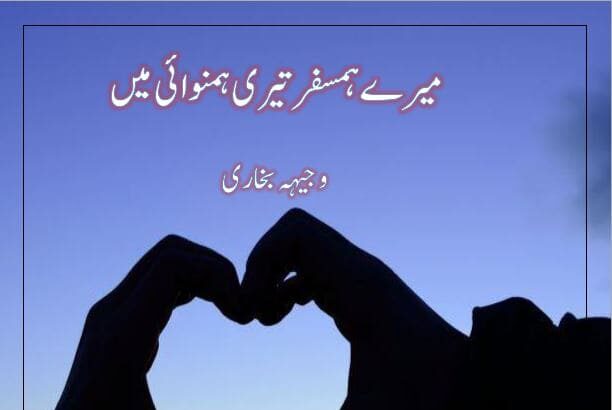 Mere Humsafar Teri Hamnvai Main Novel