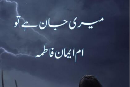 Meri Jaan Hai Tu Novel