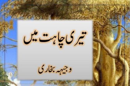 Teri Chahat Main Novel
