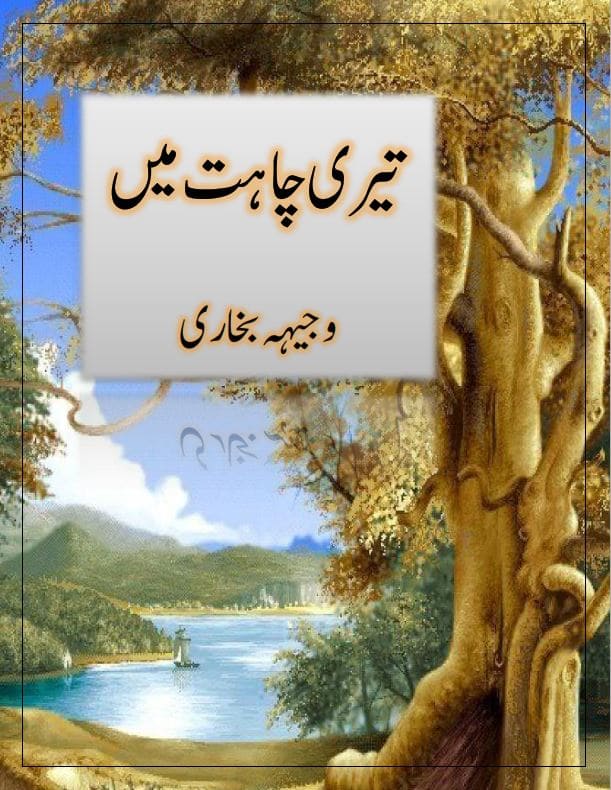 Teri Chahat Main Novel