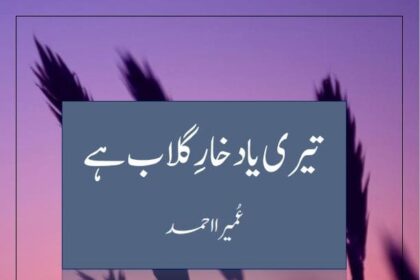 Teri Yaad Khare Gulab Hay Novel