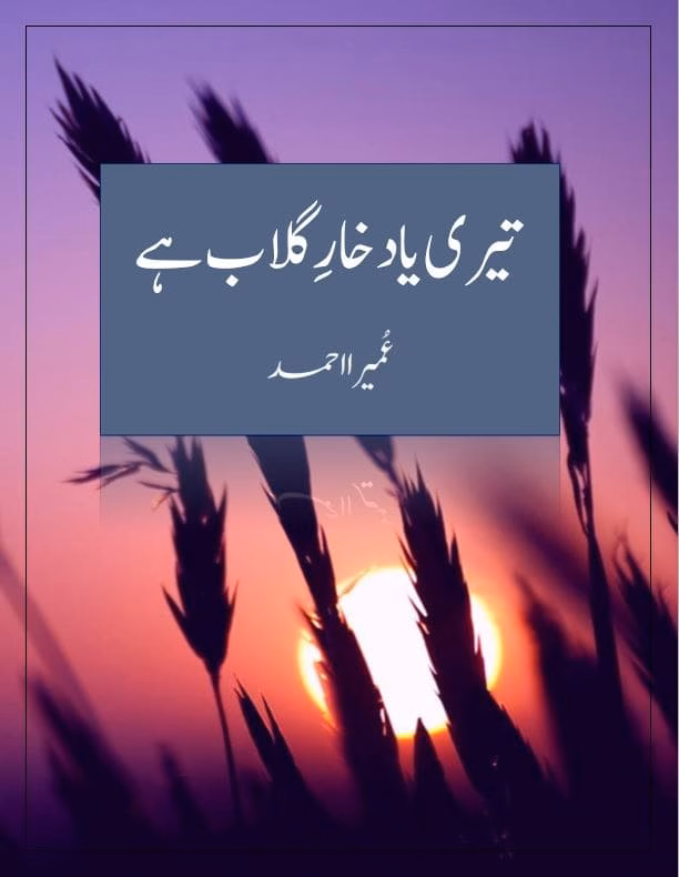 Teri Yaad Khare Gulab Hay Novel