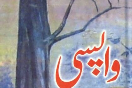 Wapsi Novel
