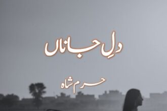 Dil e Jana Novel