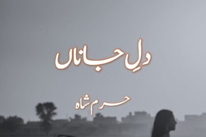 Dil e Jana Novel