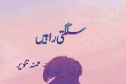 Sulagti Rahein Novel