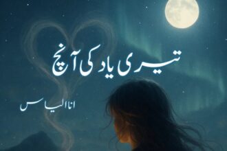 Teri Yaad Ki Aanch Novel