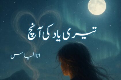 Teri Yaad Ki Aanch Novel