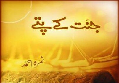 Jannat Ke Pattay Novel
