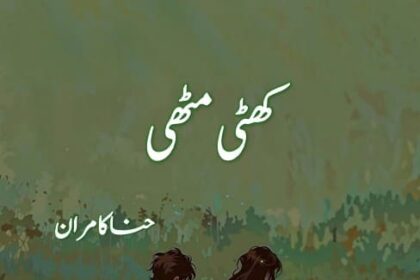 Khatti Meethi Novel
