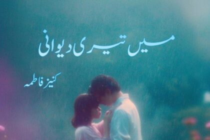 Main Teri Deewani Novel