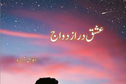 Ishq Dar Azdawaj Novel