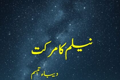 Neelam Ka Markat Novel