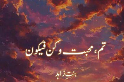 Tum Mohabbat o Kun Faya Kun Novel